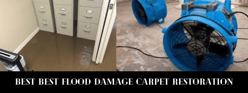 Best Flood Damage Carpet Restoration