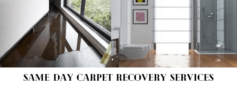 Same Day Carpet Recovery Service