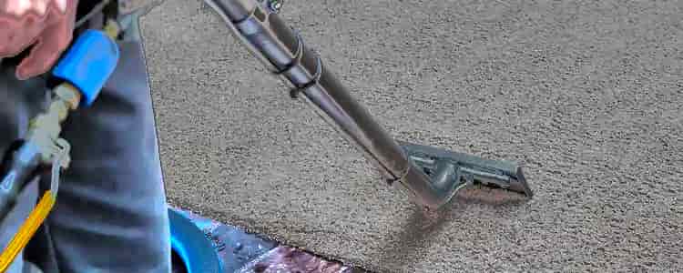 Best End of Lease Carpet Cleaning Pimpama